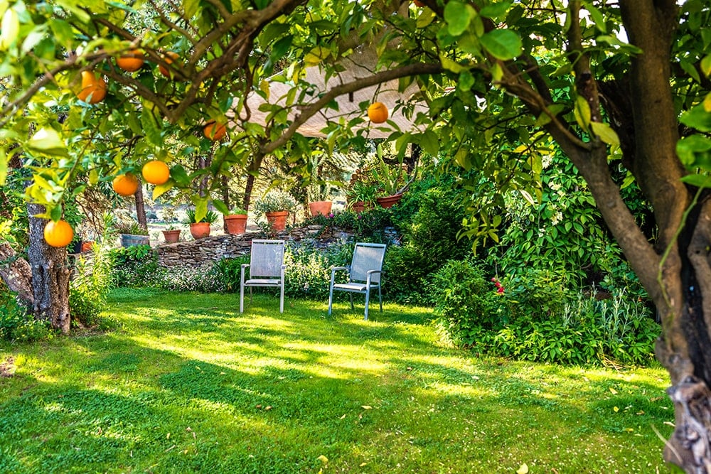 Installer des canisses : 5 idées pour décorer votre terrasse  Aménagement  jardin clôture, Déco exterieur jardin, Amenagement jardin