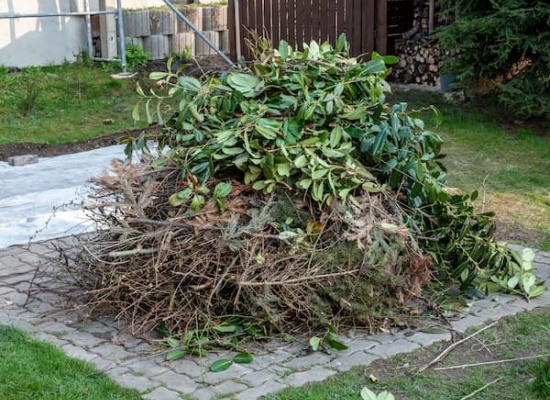 Comment se débarrasser de ses déchets de jardin 
