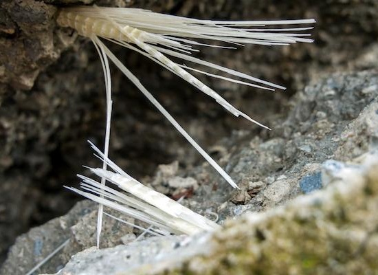 Béton fibré : le guide complet